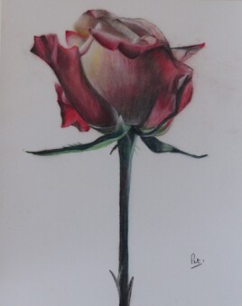 Odeur de l'&eacute;t&eacute; &agrave; Roussilon