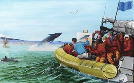Le Vol des baleines