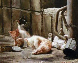 Chatons. Enfance insouciante.