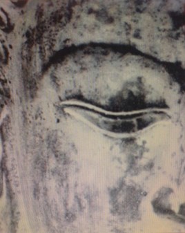 black eye buddha