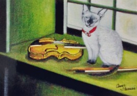 Mon chat aime le violon