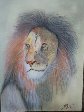 " Le lion "