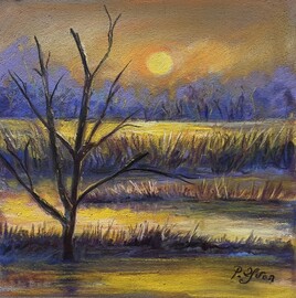 Coucher de soleil sur l'etang