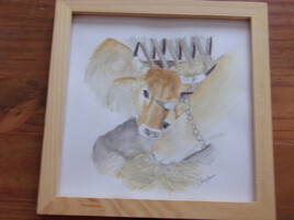 vache quoi de plus normal un jour de salon de l'agriculture