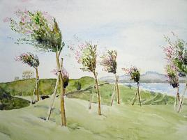 Harmonie de vent sur tamaris