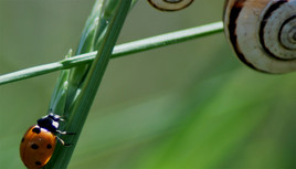 BONHEUR D UN INSTANT