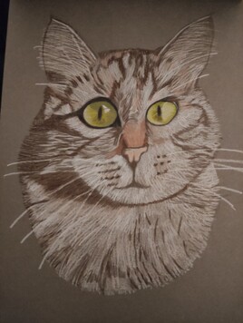 Chat crayons de couleur