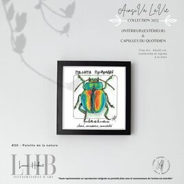 Palette de la nature