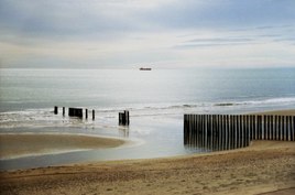 Reflets marins: Sète plage 2