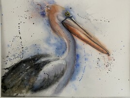 P&eacute;lican&hellip;