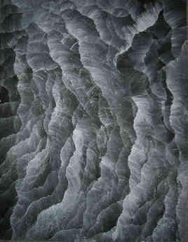 Empreinte n&deg;532.