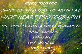 EXPO PHOTOS muzillac