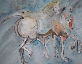 Chevaux sauvages