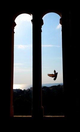 "The wings of Freedom" (Castillo de Bellver - Palma 2015)