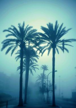 "Walking in the fog.."