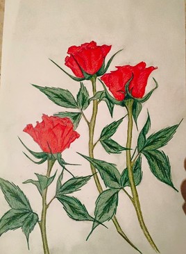 Bouquet de roses pour la st Valentin