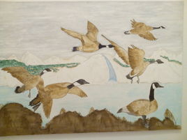 Migration oies sauvages