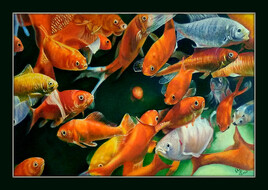 poissons rouge