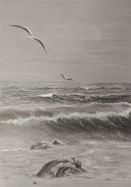 Inspiration marine 1