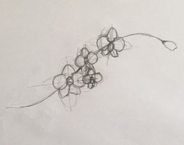 Croquis orchidée