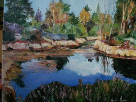 bord d'étang a Fontainebleau