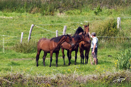 Dialogue de confiance