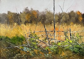 Les vieux piqu&eacute;s