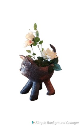 Chat mignon (UNIQUE)