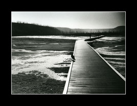 Yellowstone National Park - Wyoming - USA
