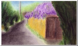 Glycines sur V.C. 33