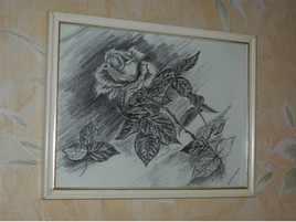 dessin d'une rose