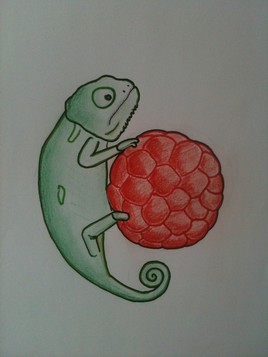 Cam&eacute;l&eacute;on et framboise