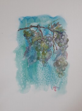 Le temps des vendanges