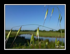 bord de route 1