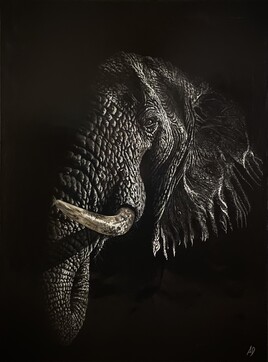 Portrait d’un Vieil éléphant