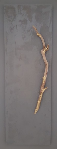 Ste Restitude n&deg;5