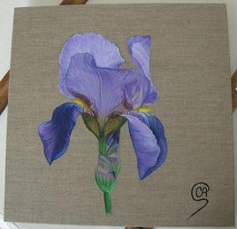 Iris mauve - Peinture acrylique