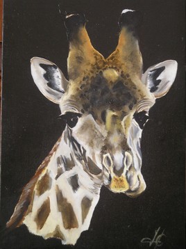 Girafe de TANZANIE