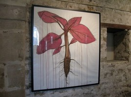 Mauvaise herbe, n&deg;2