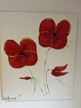Coquelicots