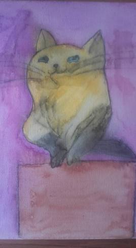 "Sweet cat" - Aquarelle - Année 2016