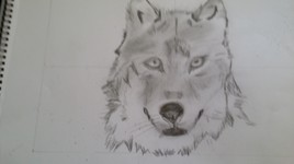 Le loup