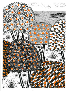 Piantarella, dessins de JCh - JCh.17.204