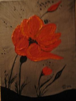 le coquelicot au vent