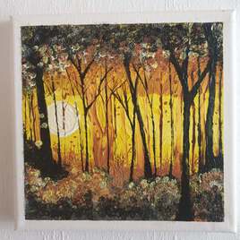 Coucher de soleil en for&ecirc;t