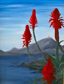 Aloes Sanguinari