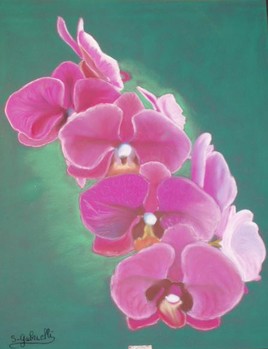 branche d'orchidée