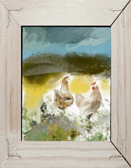 Les poules dans la campagne