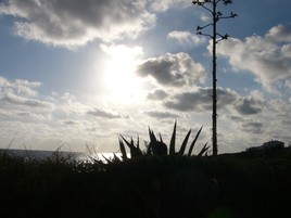 coucher de soleil hivernal