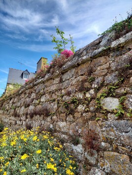 Vieux mur à l'île de Bréhat.